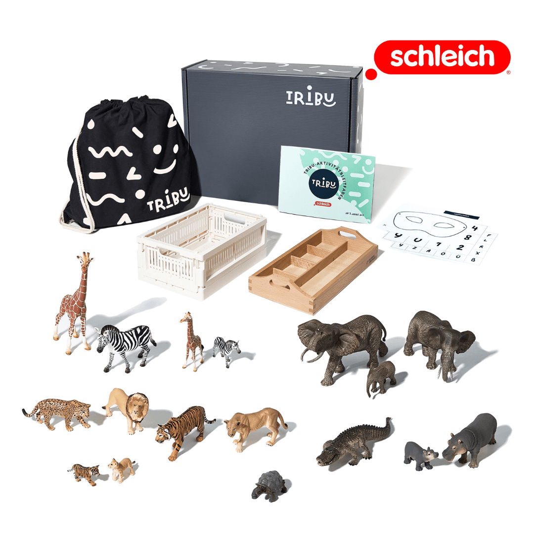 Schleich Safari Box